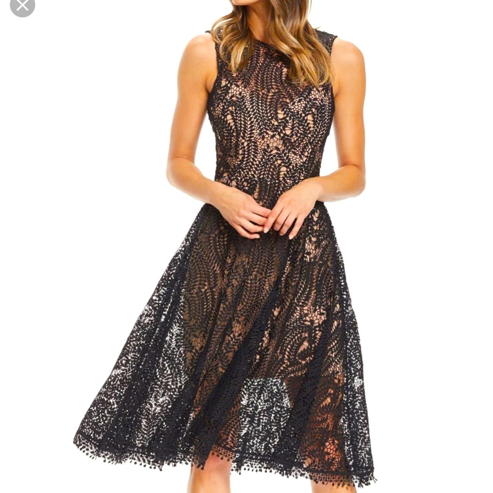 Dress the population black lace dress